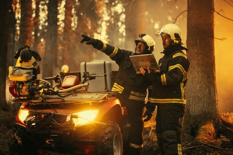 crisis de los seguros en California